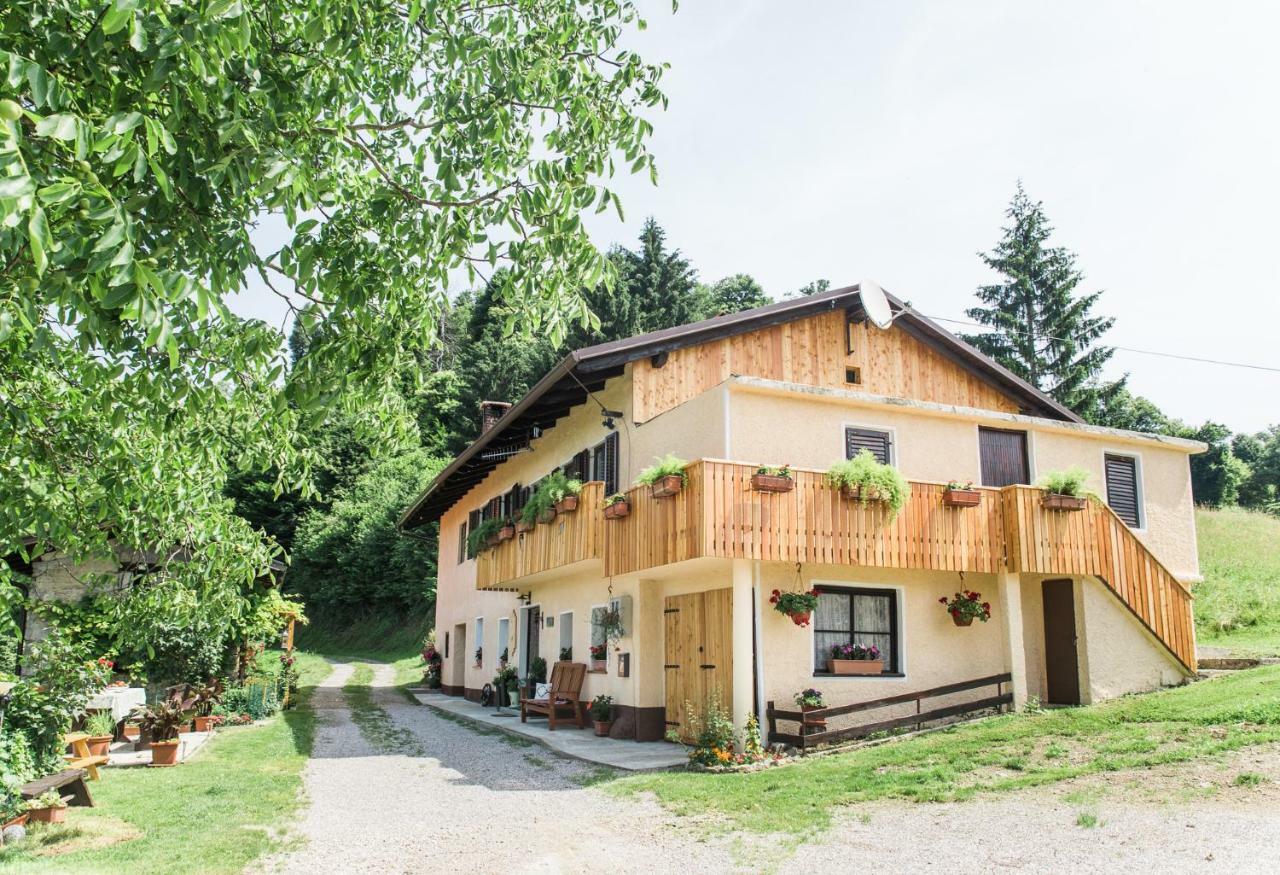 Maison d'hôtes Pocitniska Hisa Pologar à Tolmin Extérieur photo